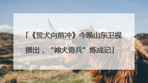 《警犬向前冲》今晚山东卫视播出，“神犬奇兵”炼成记