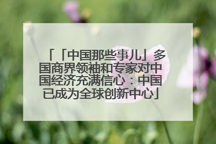 「中国那些事儿」多国商界领袖和专家对中国经济充满信心：中国已成为全球创新中心