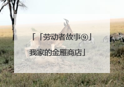 「劳动者故事⑨」我家的金雁商店
