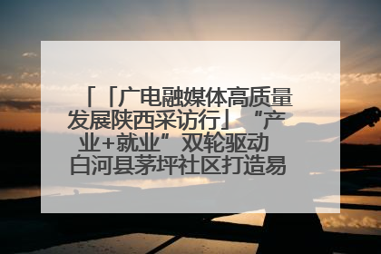 「广电融媒体高质量发展陕西采访行」“产业+就业”双轮驱动 白河县茅坪社区打造易地搬迁后扶新样本
