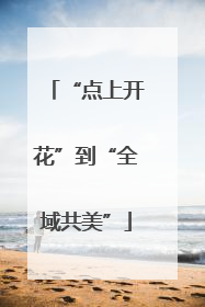 “点上开花”到“全域共美”
