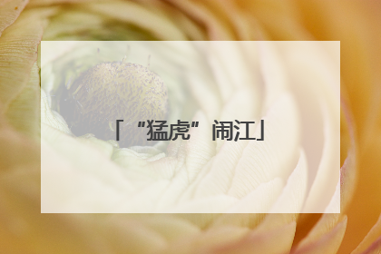 “猛虎”闹江