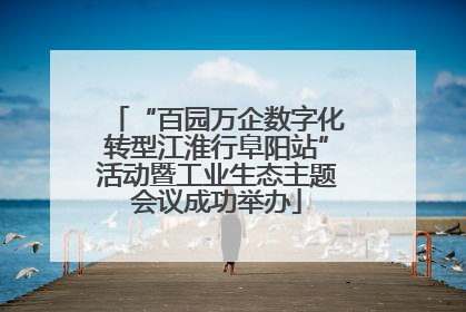 “百园万企数字化转型江淮行阜阳站”活动暨工业生态主题会议成功举办