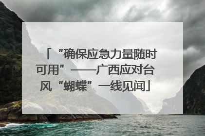 “确保应急力量随时可用”——广西应对台风“蝴蝶”一线见闻
