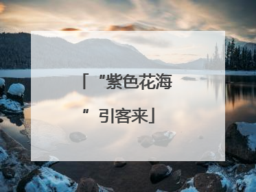 “紫色花海”引客来