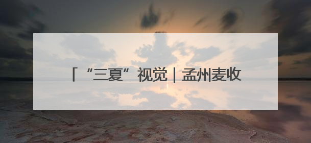 “三夏”视觉｜孟州麦收正当时 机械减损保归仓