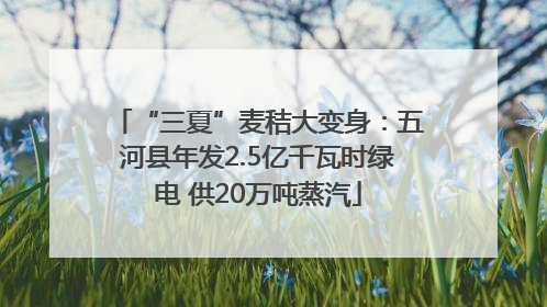 “三夏”麦秸大变身：五河县年发2.5亿千瓦时绿电 供20万吨蒸汽