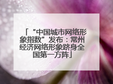 “中国城市网络形象指数”发布：常州经济网络形象跻身全国第一方阵