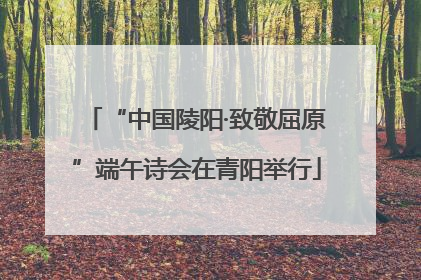 “中国陵阳·致敬屈原”端午诗会在青阳举行