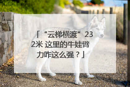 “云梯横渡”232米 这里的牛娃臂力咋这么强？