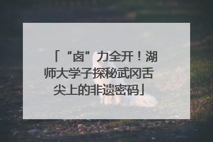 “卤”力全开！湖师大学子探秘武冈舌尖上的非遗密码