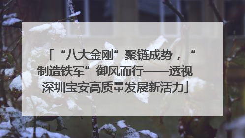 “八大金刚”聚链成势，“制造铁军”御风而行——透视深圳宝安高质量发展新活力