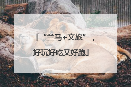 “兰马+文旅”，好玩好吃又好跑