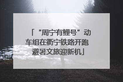 “周宁有鲤号”动车组在衢宁铁路开跑 避暑文旅迎新机