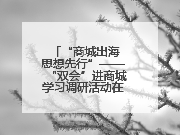 “商城出海 思想先行”——“双会”进商城学习调研活动在临沂顺利开展