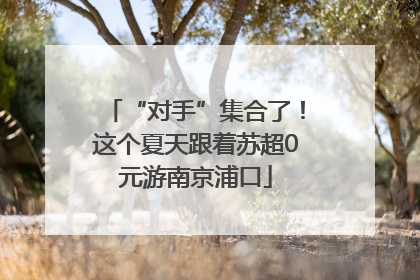 “对手”集合了！这个夏天跟着苏超0元游南京浦口