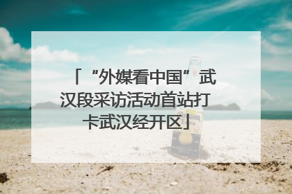 “外媒看中国”武汉段采访活动首站打卡武汉经开区