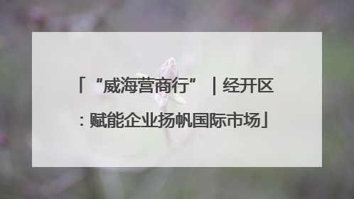 “威海营商行”｜经开区：赋能企业扬帆国际市场
