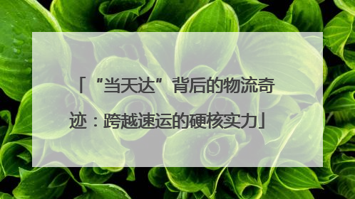 “当天达”背后的物流奇迹：跨越速运的硬核实力