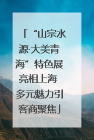 “山宗水源·大美青海”特色展亮相上海 多元魅力引客商聚焦
