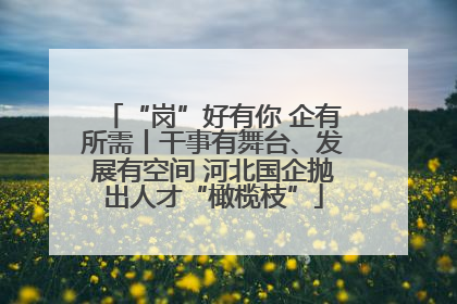 “岗”好有你 企有所需丨干事有舞台、发展有空间 河北国企抛出人才“橄榄枝”