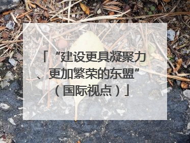 “建设更具凝聚力、更加繁荣的东盟”（国际视点）
