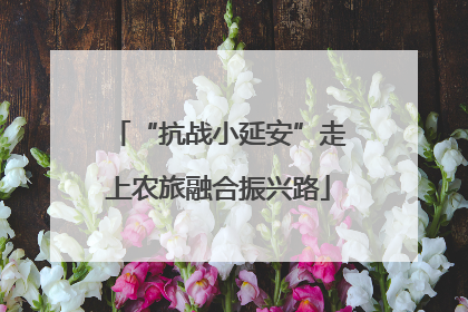 “抗战小延安”走上农旅融合振兴路
