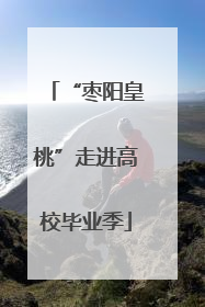 “枣阳皇桃”走进高校毕业季