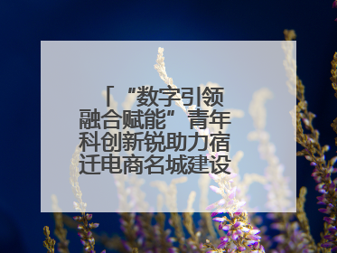 “数字引领 融合赋能”青年科创新锐助力宿迁电商名城建设活动成功举办