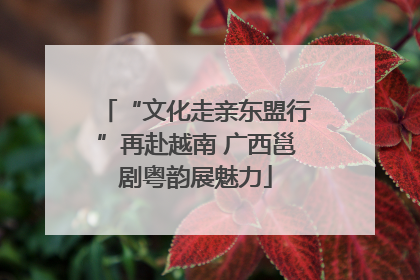 “文化走亲东盟行”再赴越南 广西邕剧粤韵展魅力