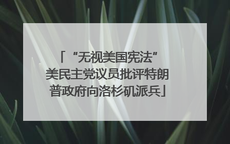 “无视美国宪法” 美民主党议员批评特朗普政府向洛杉矶派兵