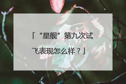“星舰”第九次试飞表现怎么样？