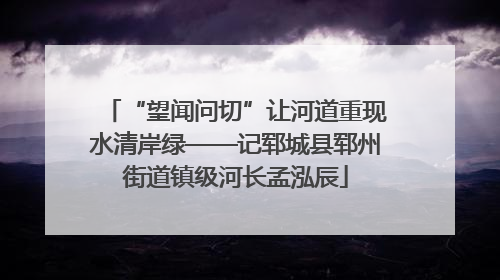 “望闻问切”让河道重现水清岸绿——记郓城县郓州街道镇级河长孟泓辰