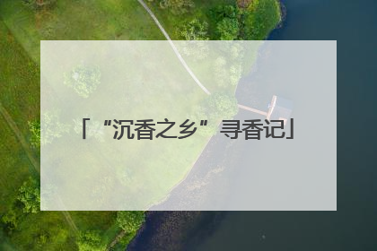 “沉香之乡”寻香记