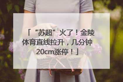 “苏超”火了！金陵体育直线拉升，几分钟20cm涨停！