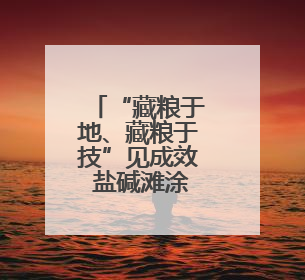 “藏粮于地、藏粮于技”见成效 盐碱滩涂变身“黄金粮仓”