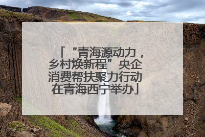 “青海源动力，乡村焕新程”央企消费帮扶聚力行动在青海西宁举办
