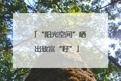 “阳光空间”晒出致富“籽”