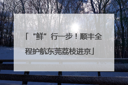 “鲜”行一步！顺丰全程护航东莞荔枝进京