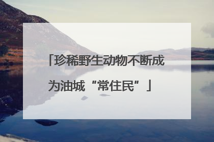 珍稀野生动物不断成为油城“常住民”