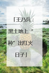 王乃兵：黑土地上“种”出红火日子