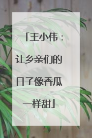 王小伟：让乡亲们的日子像香瓜一样甜