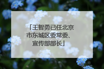王智勇已任北京市东城区委常委、宣传部部长