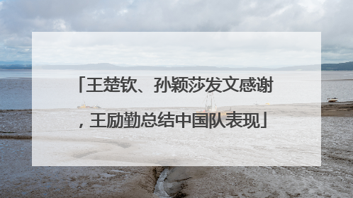 王楚钦、孙颖莎发文感谢，王励勤总结中国队表现