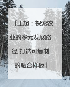 王超：探索农业的多元发展路径 打造可复制的融合样板