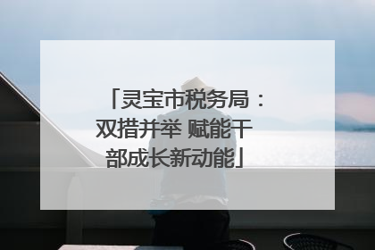 灵宝市税务局：双措并举 赋能干部成长新动能