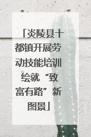 炎陵县十都镇开展劳动技能培训 绘就“致富有路”新图景