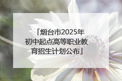烟台市2025年初中起点高等职业教育招生计划公布