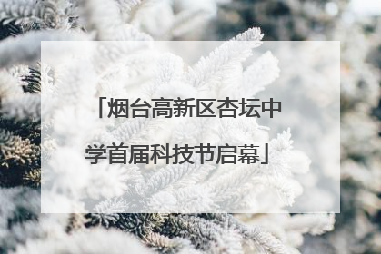 烟台高新区杏坛中学首届科技节启幕