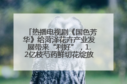 热播电视剧《国色芳华》给菏泽花卉产业发展带来“利好”，1.2亿枝芍药鲜切花绽放“国色芳华”